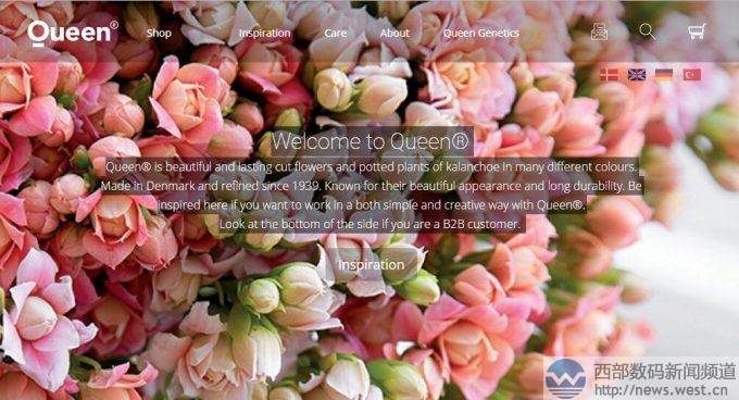 �r���K�˱��з���ٳ���������r��800�f��Queen.com�Ԛw��������