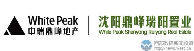 地產終端六位數收購英文域名stey.com!賣家系海外大佬Frank Schilling