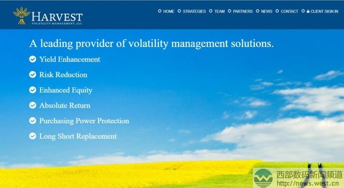 同行賣的!投資顧問公司收購三字母域名HVM.COM